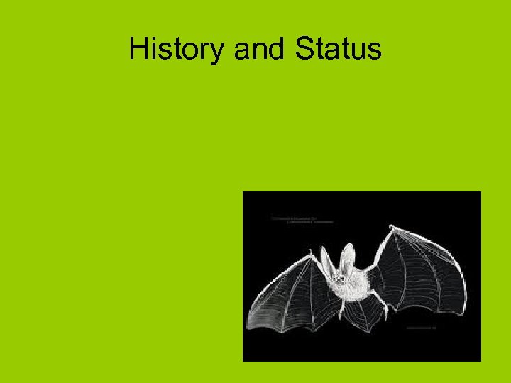 History and Status 