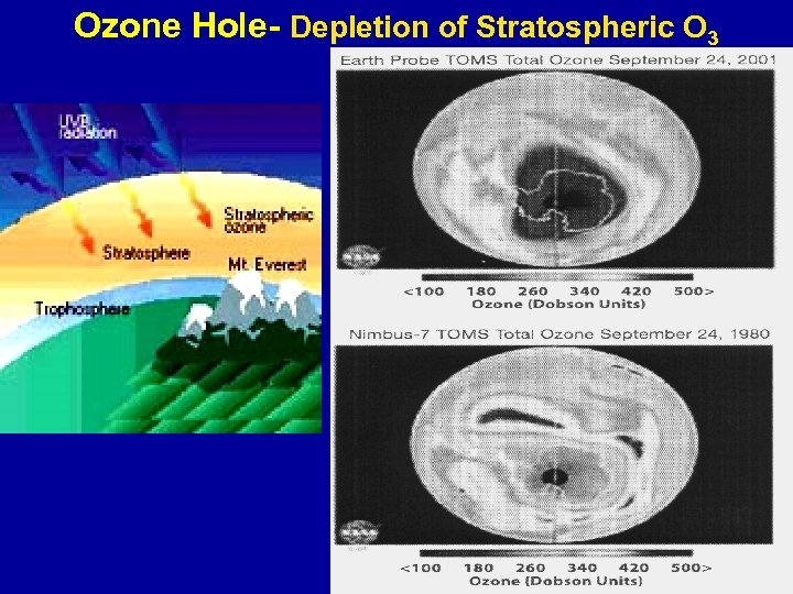 Ozone Hole- Depletion of Stratospheric O 3 