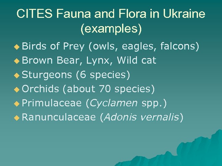 CITES Fauna and Flora in Ukraine (examples) u Birds of Prey (owls, eagles, falcons)