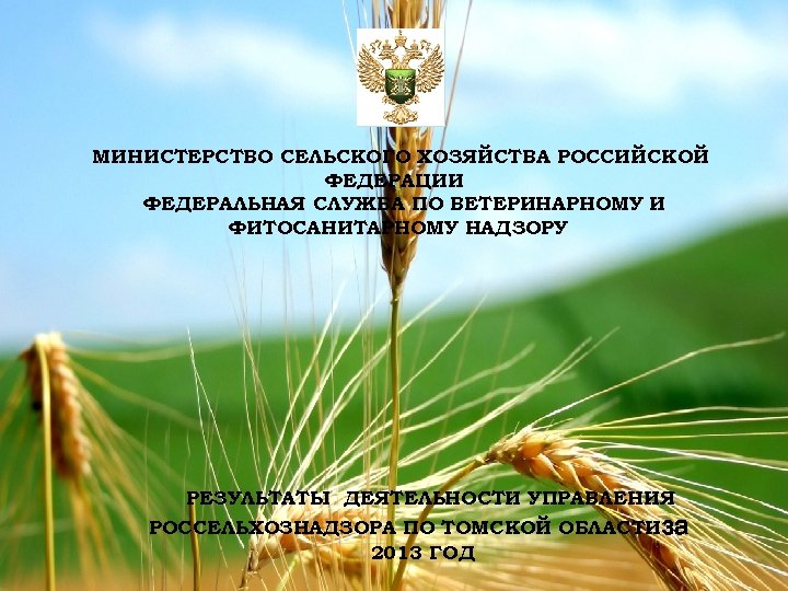 МИНИСТЕРСТВО СЕЛЬСКОГО ХОЗЯЙСТВА РОССИЙСКОЙ ФЕДЕРАЦИИ ФЕДЕРАЛЬНАЯ СЛУЖБА ПО ВЕТЕРИНАРНОМУ И ФИТОСАНИТАРНОМУ НАДЗОРУ РЕЗУЛЬТАТЫ ДЕЯТЕЛЬНОСТИ