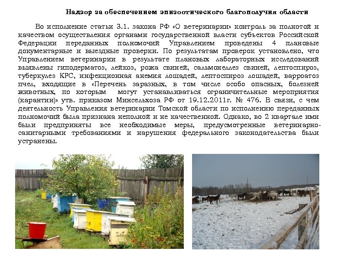 Надзор за обеспечением эпизоотического благополучия области. Во исполнение статьи 3. 1. закона РФ «О