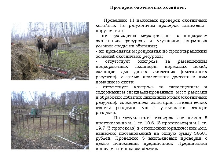 Проверки охотничьих хозяйств. Проведено 11 плановых проверок охотничьих хозяйств. По результатам проверок выявлены нарушения