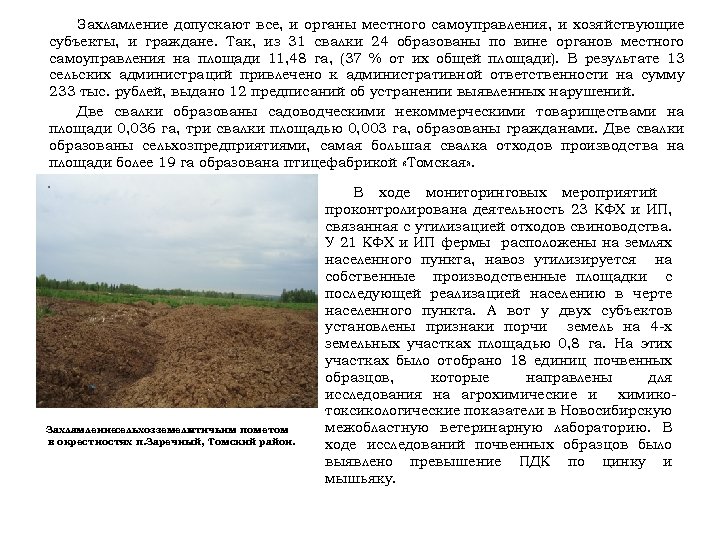 Захламление допускают все, и органы местного самоуправления, и хозяйствующие субъекты, и граждане. Так, из