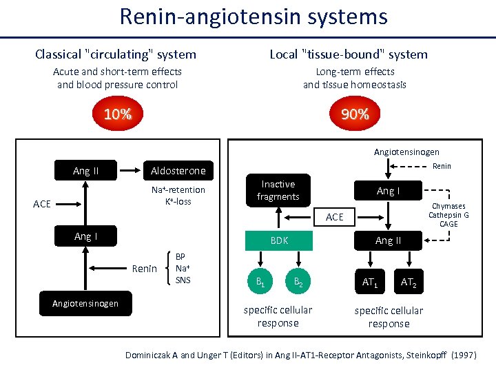 Renin-angiotensin systems Classical "circulating" system Local "tissue-bound" system Acute and short-term effects and blood