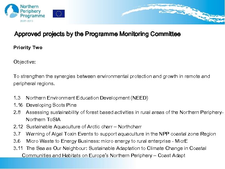 Approved projects by the Programme Monitoring Committee Priority Two Objective: To strengthen the synergies
