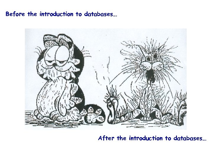 Before the introduction to databases… After the introduction to databases… 