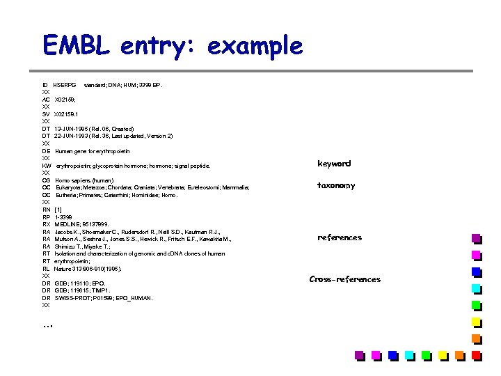 EMBL entry: example ID HSERPG standard; DNA; HUM; 3398 BP. XX AC X 02158;