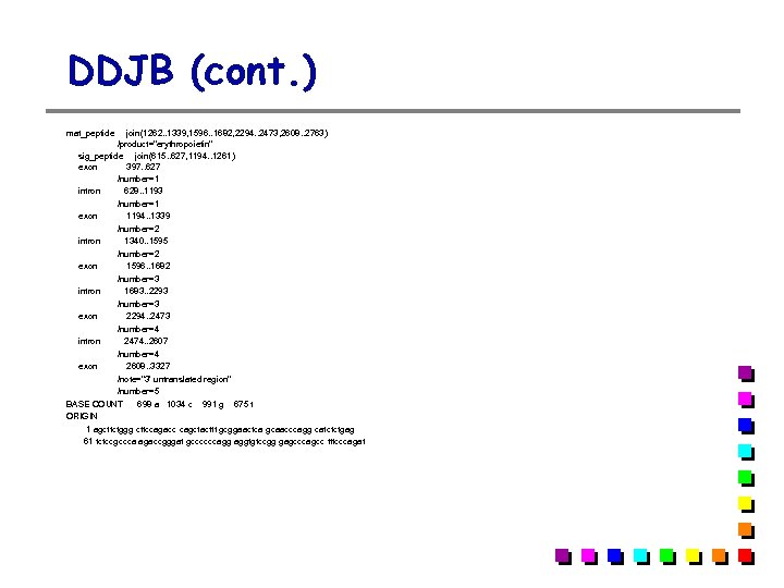 DDJB (cont. ) mat_peptide join(1262. . 1339, 1596. . 1682, 2294. . 2473, 2608.