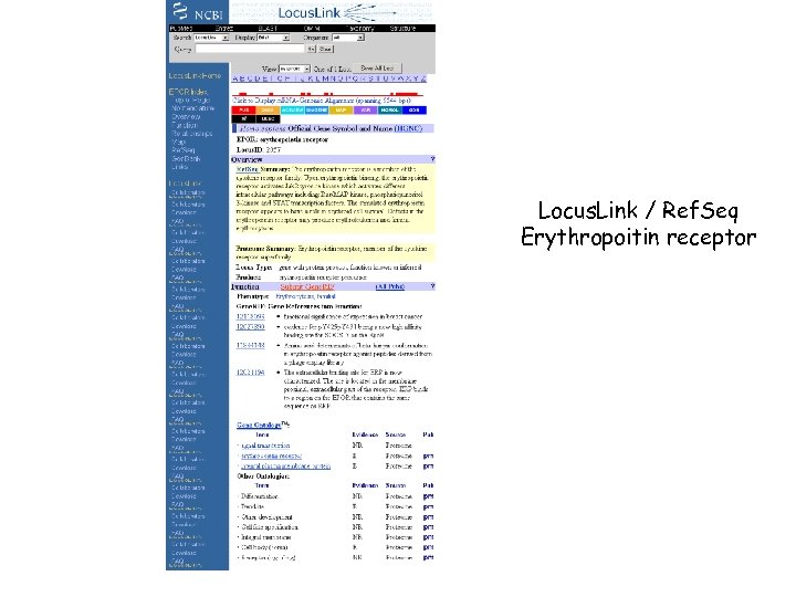 Locus. Link / Ref. Seq Erythropoitin receptor 