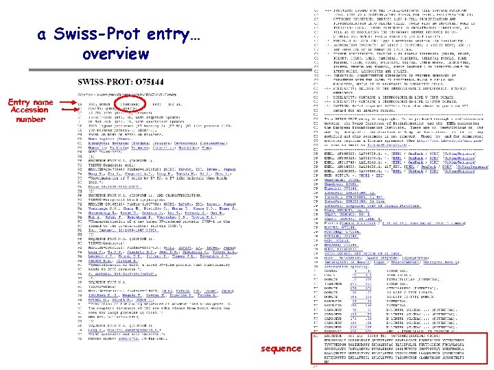 a Swiss-Prot entry… overview Entry name Accession number sequence 