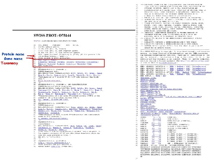 Protein name Gene name Taxonomy 