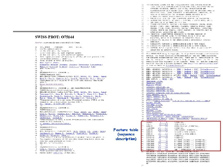 Feature table (sequence description) 