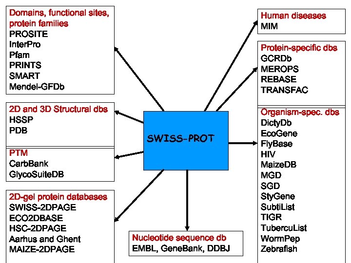 Domains, functional sites, protein families PROSITE Inter. Pro Pfam PRINTS SMART Mendel-GFDb Human diseases