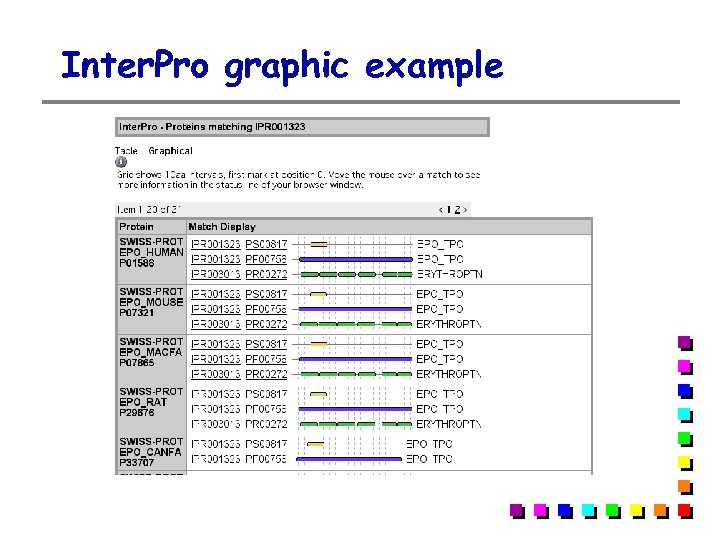 Inter. Pro graphic example 