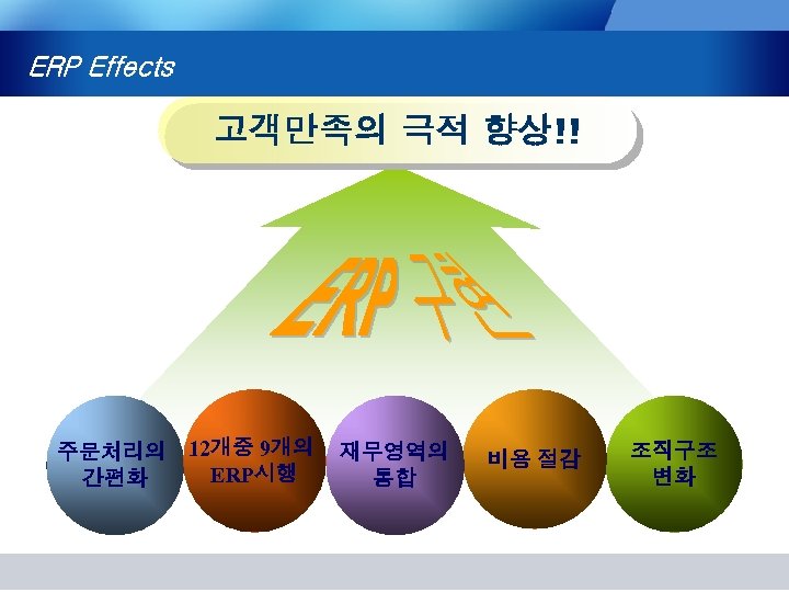 ERP Effects 고객만족의 극적 향상!! 주문처리의 12개중 9개의 ERP시행 간편화 재무영역의 통합 비용 절감