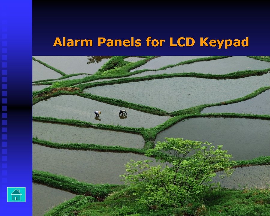 Alarm Panels for LCD Keypad 