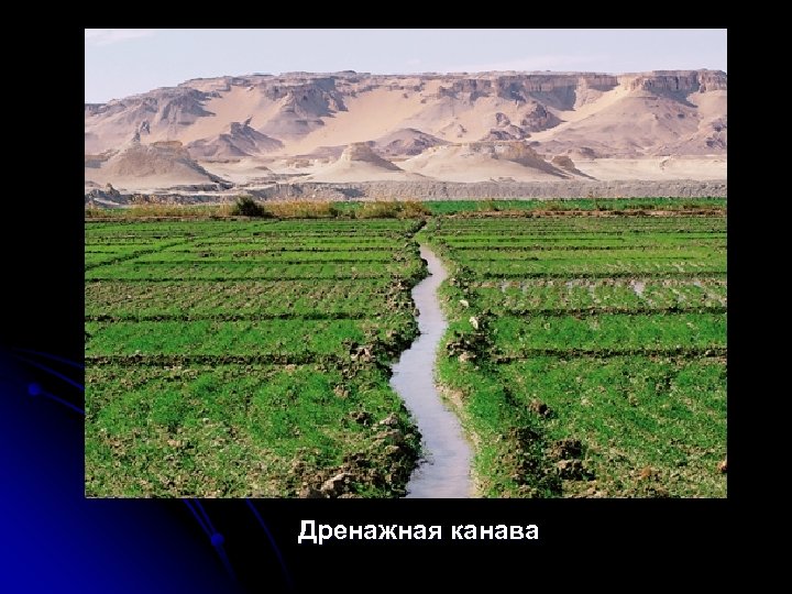 Дренажная канава 