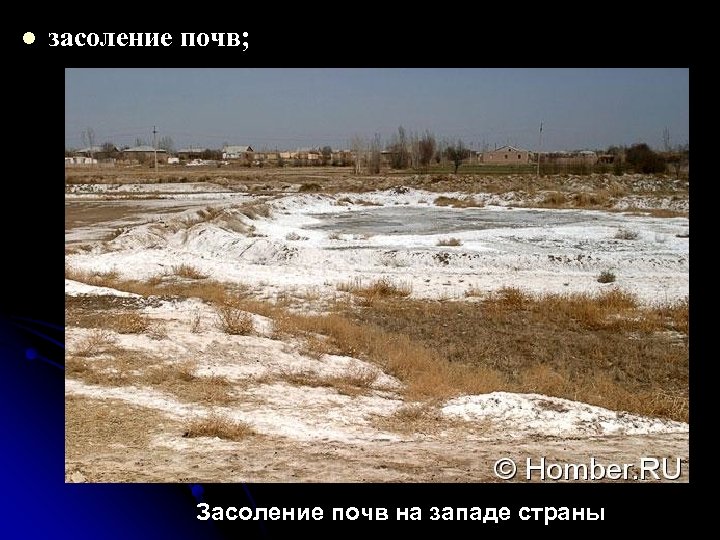 l засоление почв; Засоление почв на западе страны 