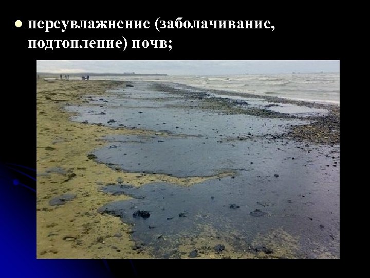l переувлажнение (заболачивание, подтопление) почв; 