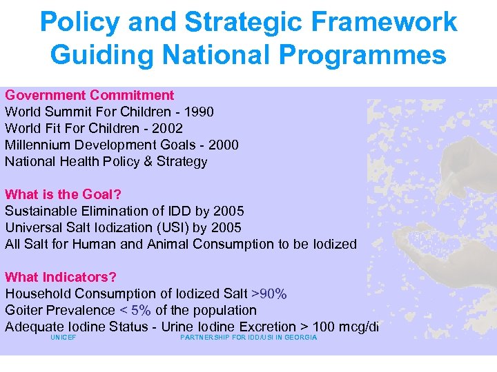 Policy and Strategic Framework Guiding National Programmes Government Commitment World Summit For Children -