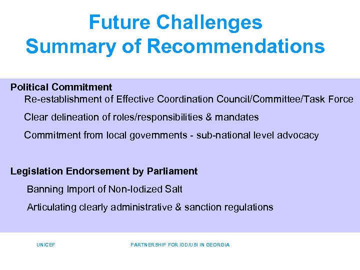 Future Challenges Summary of Recommendations Political Commitment Re-establishment of Effective Coordination Council/Committee/Task Force Clear