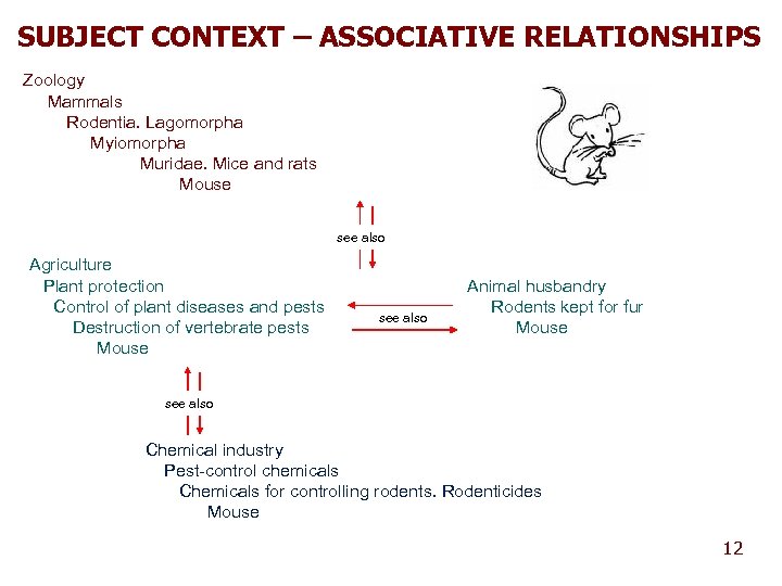 SUBJECT CONTEXT – ASSOCIATIVE RELATIONSHIPS Zoology Mammals Rodentia. Lagomorpha Myiomorpha Muridae. Mice and rats