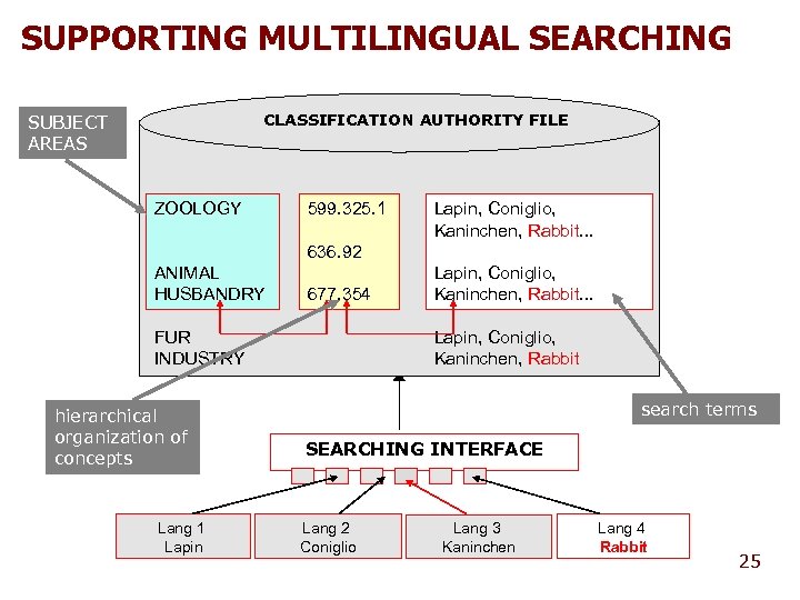 SUPPORTING MULTILINGUAL SEARCHING CLASSIFICATION AUTHORITY FILE SUBJECT AREAS ZOOLOGY 599. 325. 1 Lapin, Coniglio,