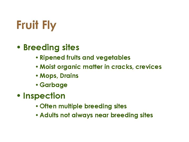 Fruit Fly • Breeding sites • Ripened fruits and vegetables • Moist organic matter