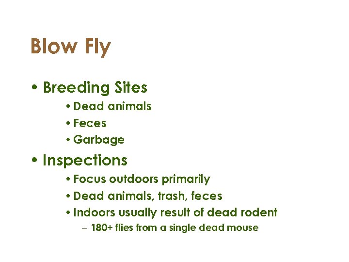 Blow Fly • Breeding Sites • Dead animals • Feces • Garbage • Inspections