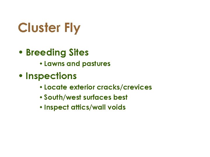 Cluster Fly • Breeding Sites • Lawns and pastures • Inspections • Locate exterior