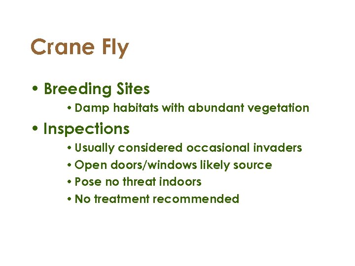 Crane Fly • Breeding Sites • Damp habitats with abundant vegetation • Inspections •