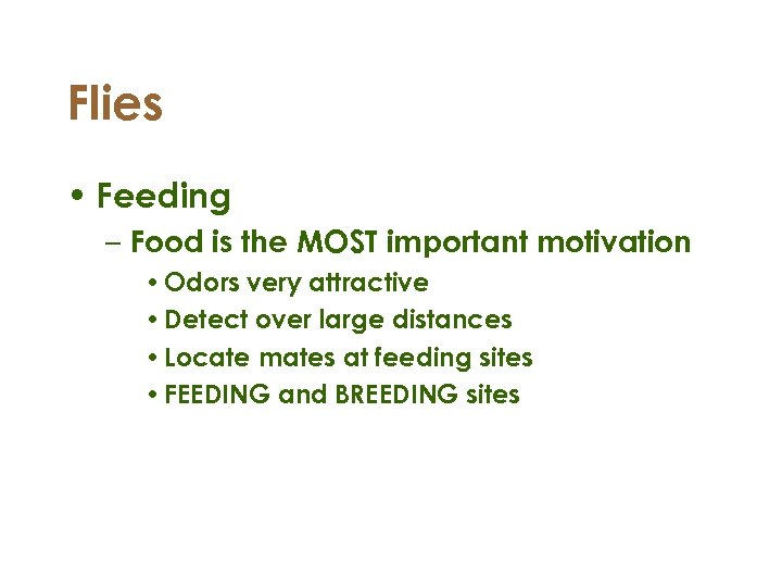 Flies • Feeding – Food is the MOST important motivation • Odors very attractive