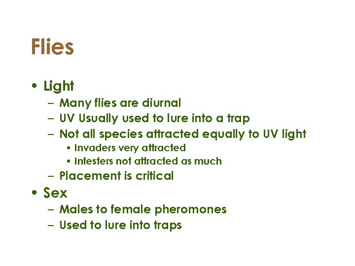 Flies • Light – Many flies are diurnal – UV Usually used to lure