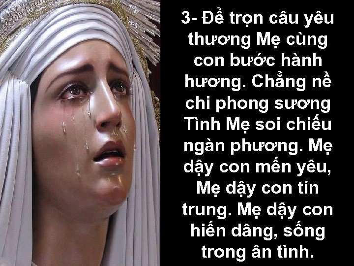 3 - Để trọn câu yêu thương Mẹ cùng con bước hành hương. Chẳng