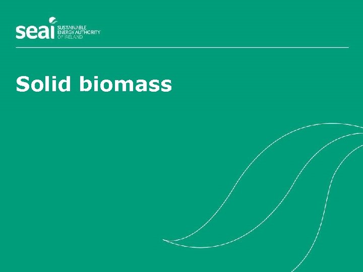 Solid biomass 