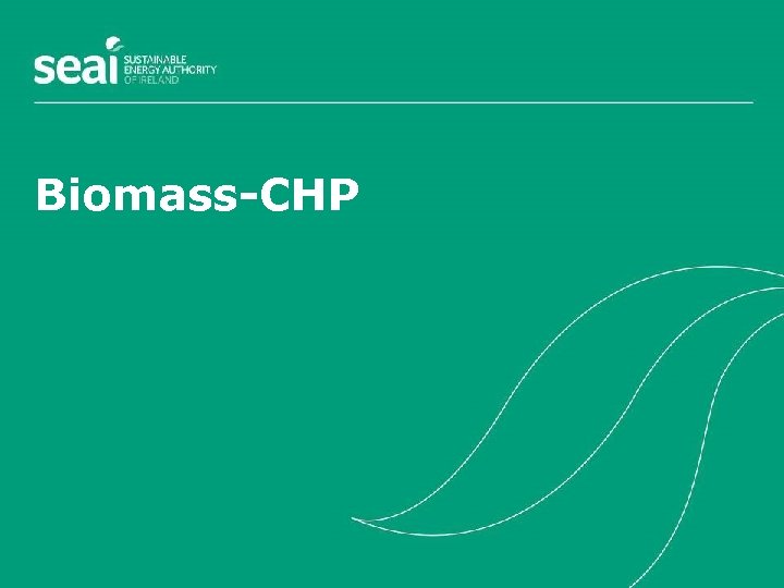 Biomass-CHP 