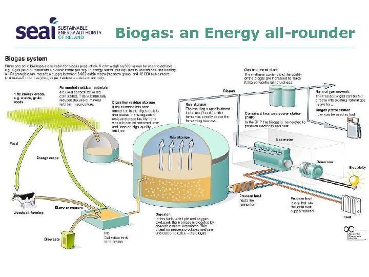 Biogas: an Energy all-rounder 