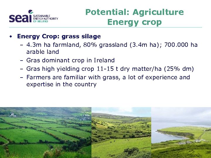 Potential: Agriculture Energy crop • Energy Crop: grass silage – 4. 3 m ha