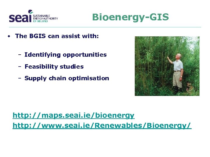 Bioenergy-GIS • The BGIS can assist with: – Identifying opportunities – Feasibility studies –