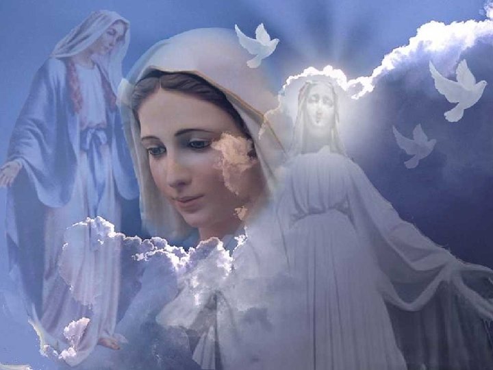 + Hoje também é o Dia Mundial da Paz A Igreja quer nos lembrar