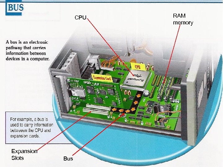 CPU Expansion Slots Bus RAM memory 