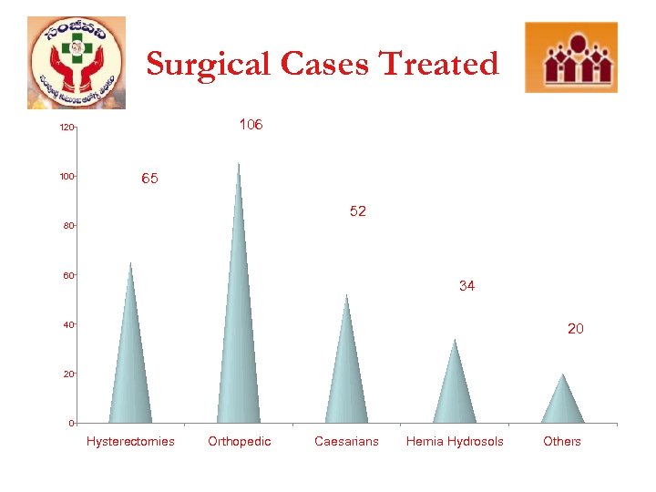 Surgical Cases Treated 106 120 100 65 52 80 60 34 40 20 20