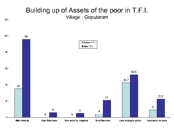 Building up of Assets of the poor in T. F. I. Village : Gopularam