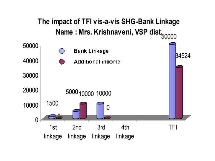 Bank Linkage Additional income 