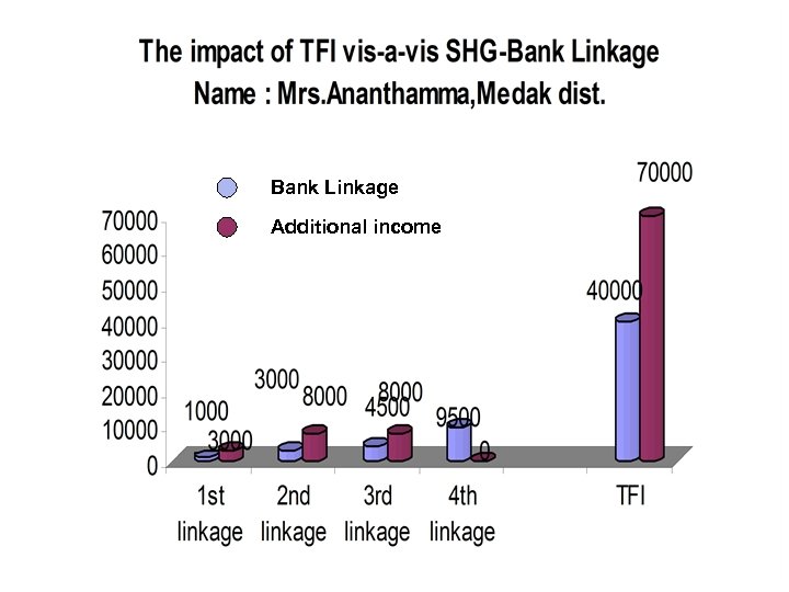 Bank Linkage Additional income 