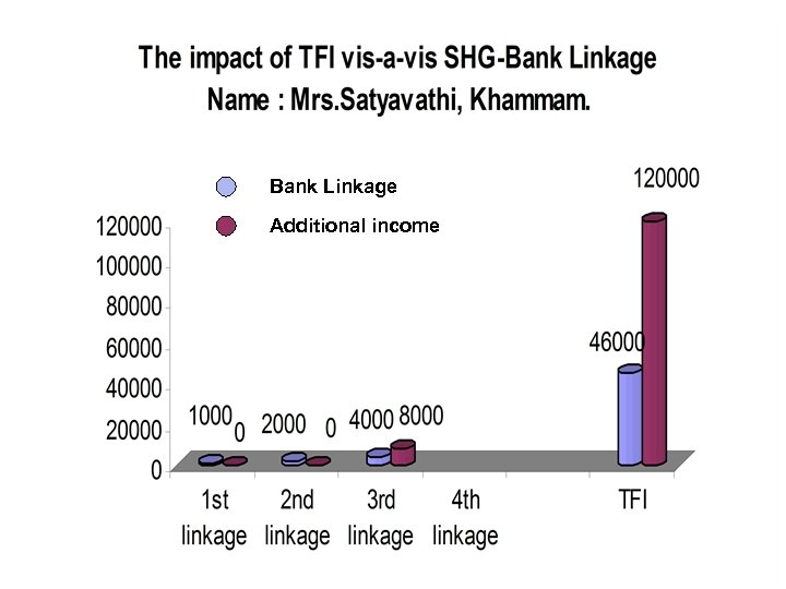 Bank Linkage Additional income 