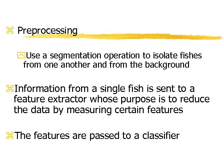 z Preprocessing y. Use a segmentation operation to isolate fishes from one another and