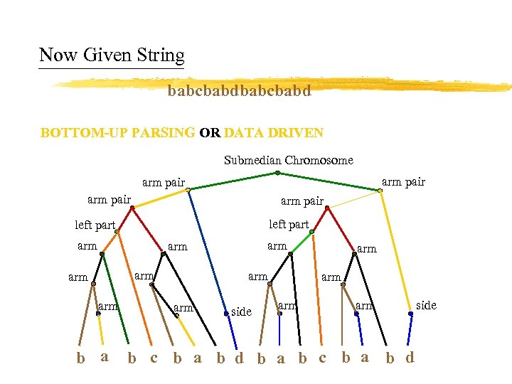 Now Given String babcbabd BOTTOM-UP PARSING OR DATA DRIVEN Submedian Chromosome arm pair left