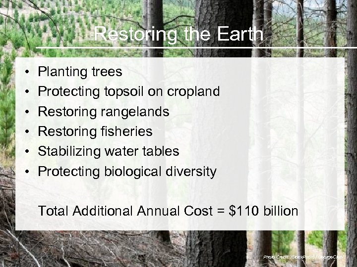 Restoring the Earth • • • Planting trees Protecting topsoil on cropland Restoring rangelands