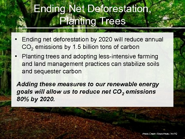 Ending Net Deforestation, Planting Trees • Ending net deforestation by 2020 will reduce annual